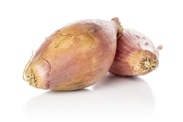 Group of two whole fresh brown shallot isolated on white background