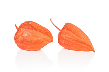 Group of two whole fresh orange physalis isolated on white background