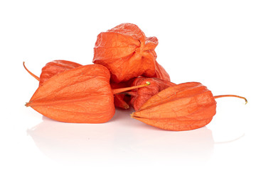 Lot of whole fresh orange physalis isolated on white background