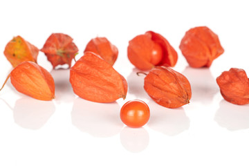 Group of ten whole fresh orange physalis isolated on white background
