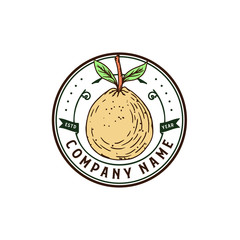 vintage badge fruit logo vector template