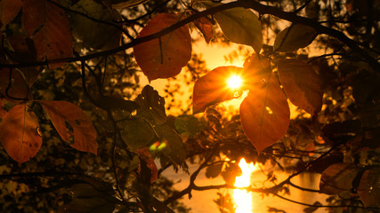 Fototapeta premium A scenic view of a sunset on Lake Norman in North Carolina.