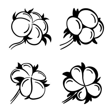 Set of four cotton flowers. Hand drawn cotton flowers in black and white. Vector design elements for textile industry.