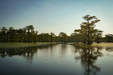 Open water view at Caddo Lake near Uncertain, Texas