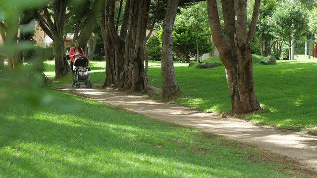 Beautiful hispanic woman walking with baby stroller in green city park