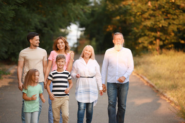 Big family walking in park