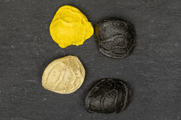 Group of four whole colorful pasta orecchiette flatlay on grey stone