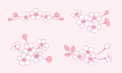 桜のペン画セット