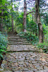 熊野古道