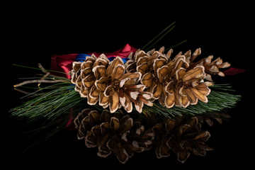 Group of three whole forest brown pine cone with red ribbon and blue ribbon isolated on black glass