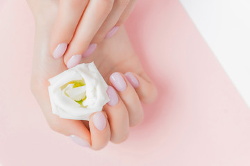 Beautiful stylish trendy female pink manicure with white flower on background, top view. Concept beauty