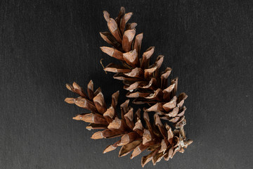 Group of two whole forest brown pine cone flatlay on grey stone