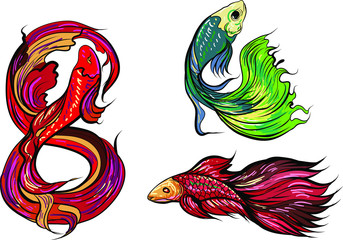 Hand drawn and colorful beautiful siamese fighting fish.Thai beautiful fish tatoo.infinity shape asian fish.