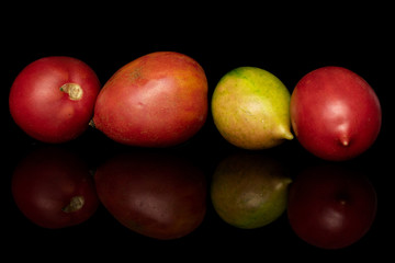 Group of four whole fresh tomato de barao isolated on black glass