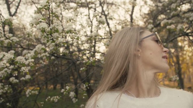 Attractive young woman in sweater, jeans is dance and spinning among blossom apple tree. Sunset, spring orchard and green field. Slow motion.