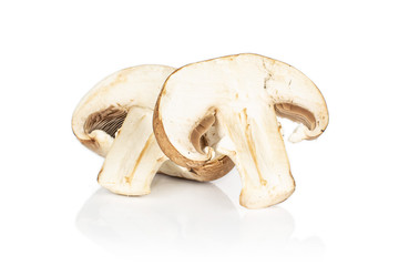 Group of one whole one slice of fresh brown mushroom champignon isolated on white background