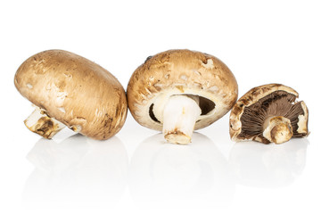 Group of three whole fresh brown mushroom champignon isolated on white background