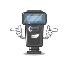 Wink camera flash isolated with the mascot