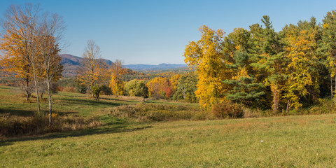 Panorama of autumn landscape with trees and blue sky