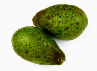 Rotten avocado from the fridge, spoiled fruits. Isolated on white background. Drops of condensation on the skin. Storage violation. Persea americana. Green berry.