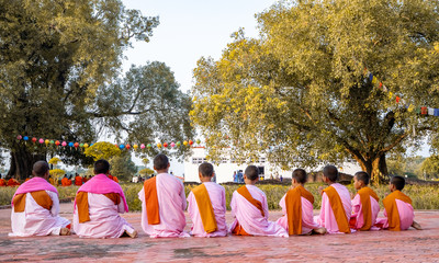 Young Buddhist Monk praying and meditating at Lumbini, Nepal