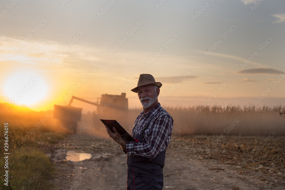 Wall mural farmer in front of combine harvester