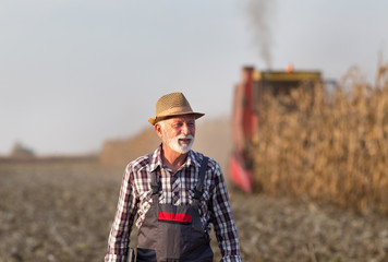 Farmer at corn harvest