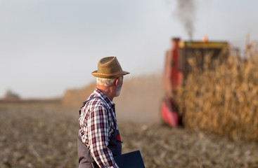 Farmer with laptop at corn harvest