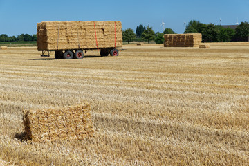 Fototapeta premium Anhänger mit Strohballen