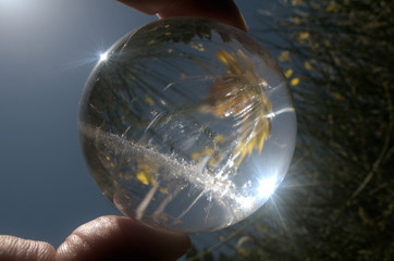 Quartz sphere with inclusions lensing a scene in a Tuscan garden