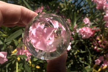 Quartz sphere with inclusions lensing a scene in a Tuscan garden
