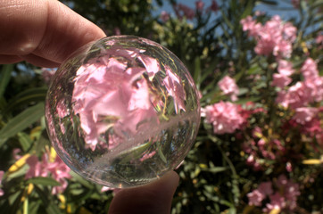 Quartz sphere with inclusions lensing a scene in a Tuscan garden