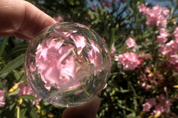 Quartz sphere with inclusions lensing a scene in a Tuscan garden