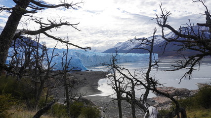 Fototapeta na wymiar perito moreno glacier