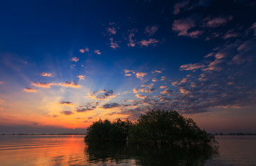 Beautiful sunrise colors and water reflections in the Danube Delta, Romania, in spring