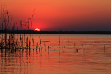 Naklejka na ściany i meble Beautiful sunrise colors and water reflections in the Danube Delta, Romania, in spring