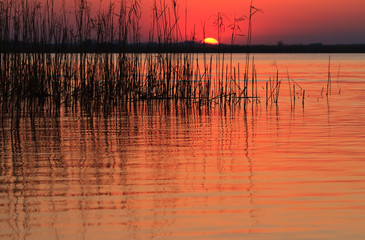 Beautiful sunrise colors and water reflections in the Danube Delta, Romania, in spring
