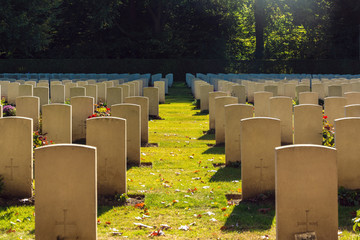 autumn cemetery grave on day light