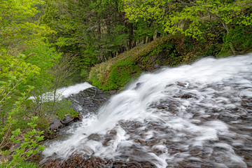 Fototapeta premium 奥日光 湯滝