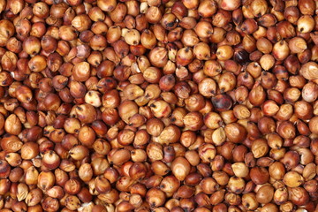 Sorgo seed (Sorghum Moench)