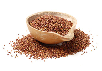 Sorgo seed (Sorghum Moench) on white background