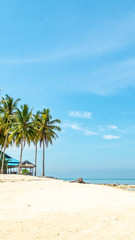 Obraz na płótnie Canvas Beautiful view at derawan Island, Indonesia. coconut tree and white sand on the beach