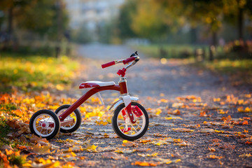 Red tricycle in the park on sunset, beautiful day - obrazy, fototapety, plakaty