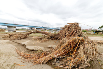 多摩川台風被害