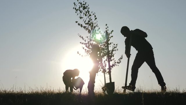 A happy family of farmers. Silhouette of a father and two children planting and watering a tree in the Park at sunset.