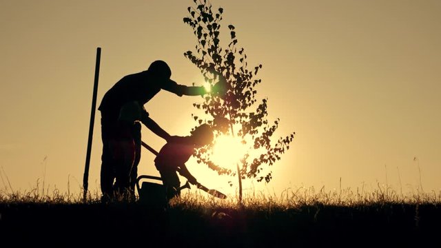 A happy family of farmers. Silhouette of a father and two children planting and watering a tree in the Park at sunset.