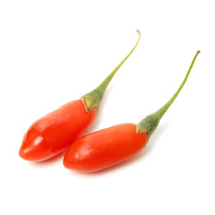 Goji berry isolated on white background