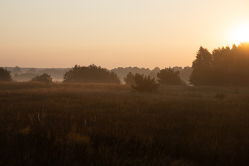 Fototapeta premium morning on meadow. sunrise landscape photo with vintage effect