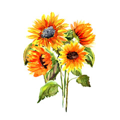 A bouquet of sunflowers. Background.Sketch.