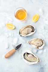 Fresh raw oysters, shot from above on ice with a glass of white wine, lemon slices, and shucking knife